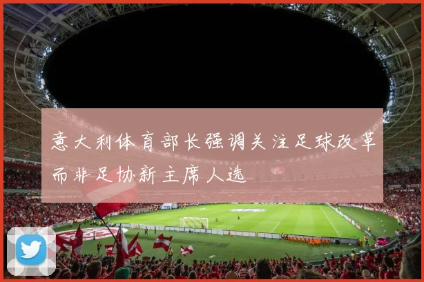意大利体育部长强调关注足球改革而非足协新主席人选