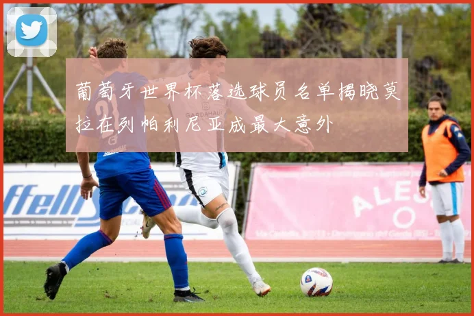 葡萄牙世界杯落选球员名单揭晓莫拉在列帕利尼亚成最大意外