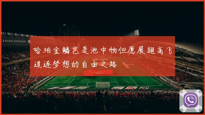 哈珀金鳞岂是池中物但愿展翅高飞追逐梦想的自由之路