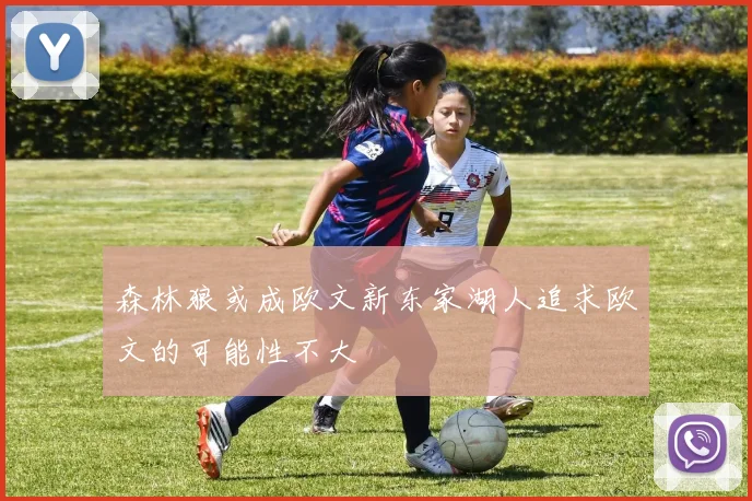 森林狼或成欧文新东家湖人追求欧文的可能性不大